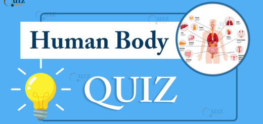 Human Body Quiz