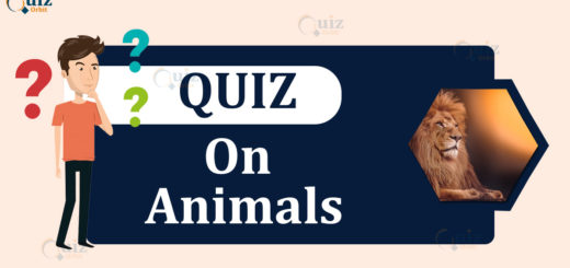 Quiz on Animals