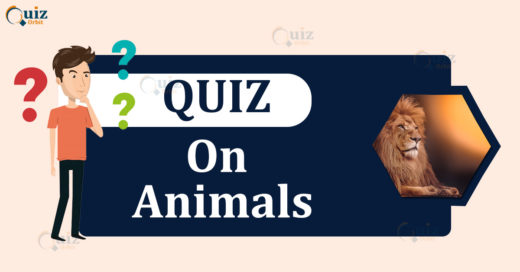 Quiz on Animals