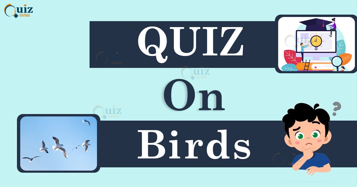Birds Quiz for Nature Lovers Quiz Orbit