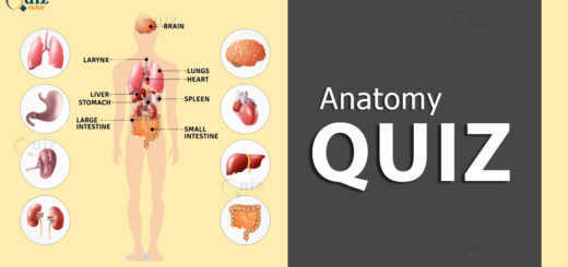 Anatomy Quiz