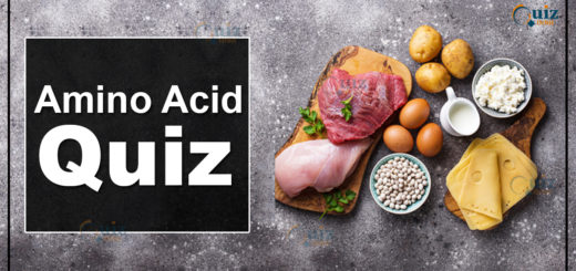 amino acid quiz