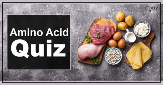 amino acid quiz