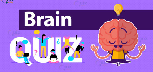 Brain quiz