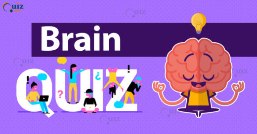 Brain quiz