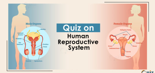 Quiz on Human Reproductive SYstem