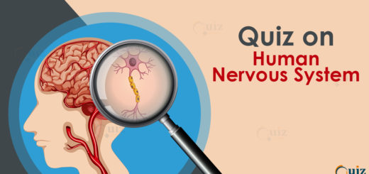 QUiz on human nervous system