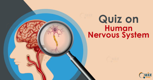 QUiz on human nervous system