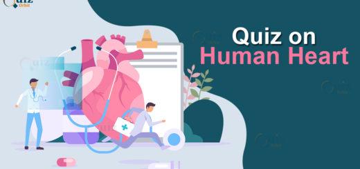 Quiz On Human Heart