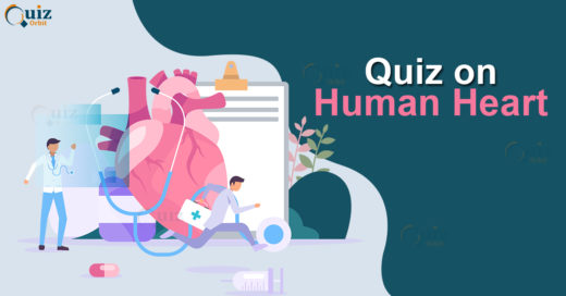 Quiz On Human Heart
