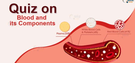 Quiz on Blood and its components