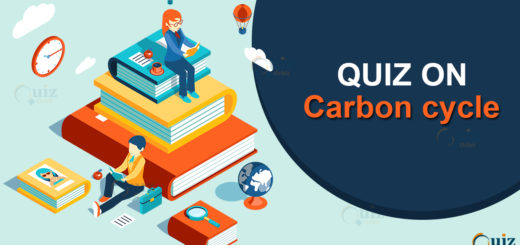 Quiz on Carbon cycle
