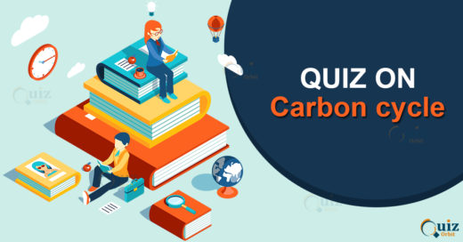 Quiz on Carbon cycle