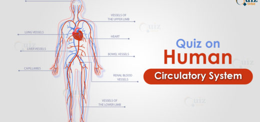 Quiz on Human Circulatory System