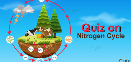 Quiz on Nitrogen Cycle