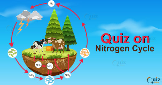 Quiz on Nitrogen Cycle