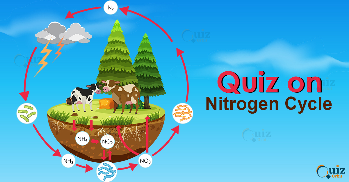 Quiz on the Nitrogen Cycle Quiz Orbit