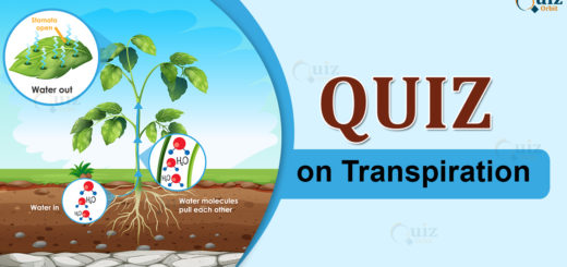 Quiz on Transpiration