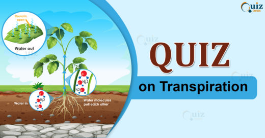 Quiz on Transpiration