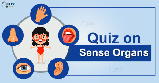 Quiz on sense organs