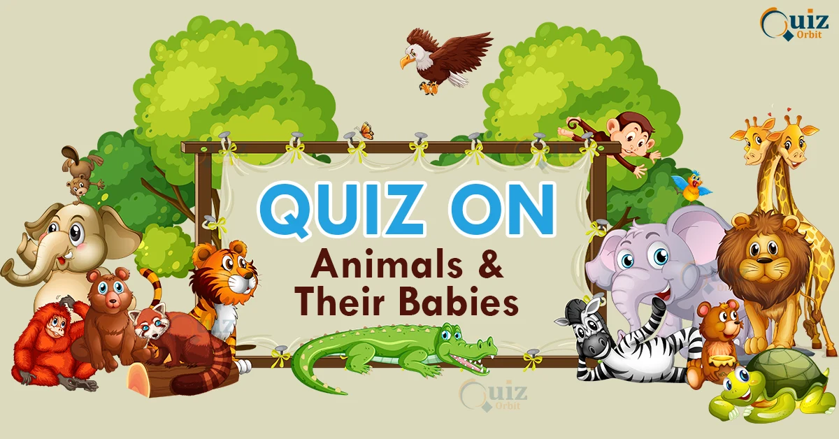quiz on animals and their babies for kids