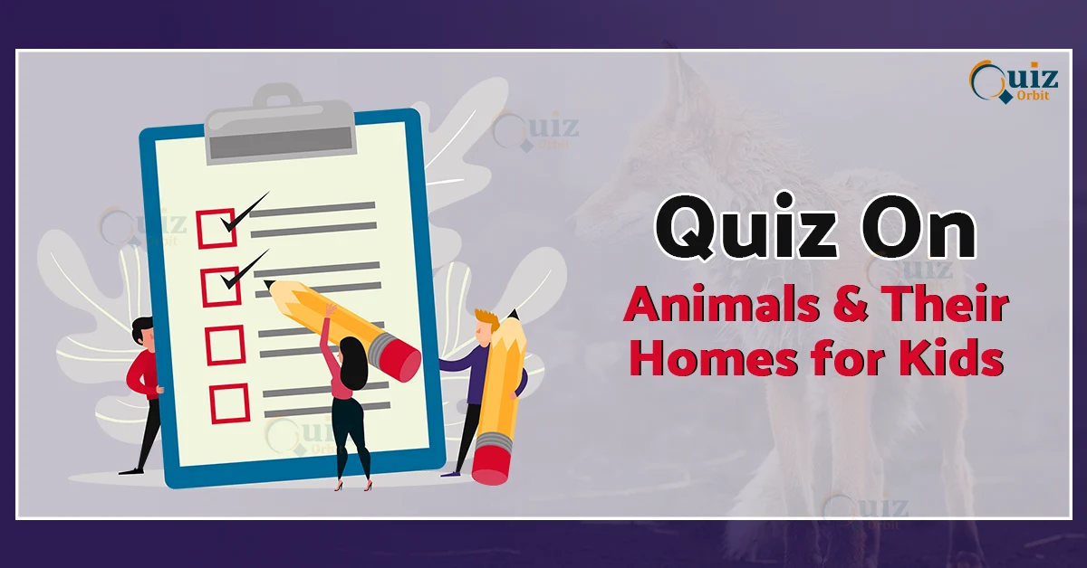 quiz on animals and their homes