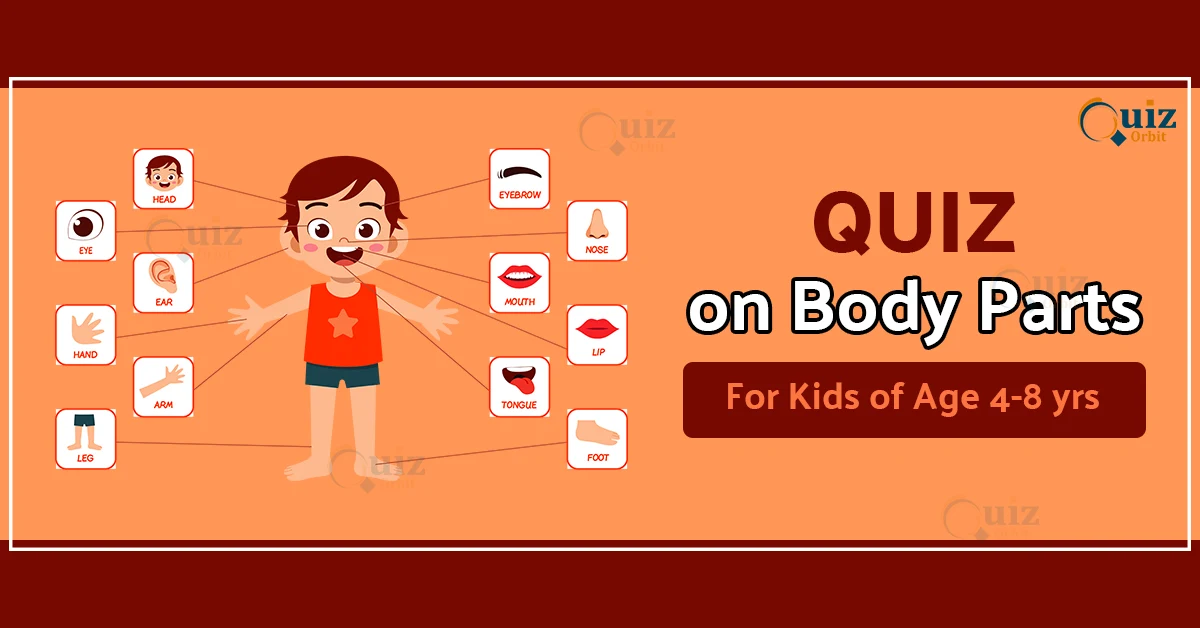 quiz on body parts